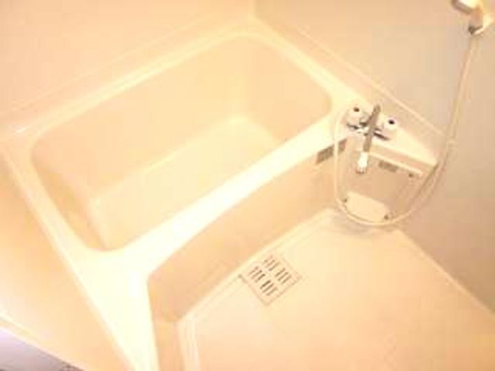 セレブ洋の風呂