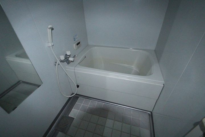 リアルエステートイン中須の風呂
