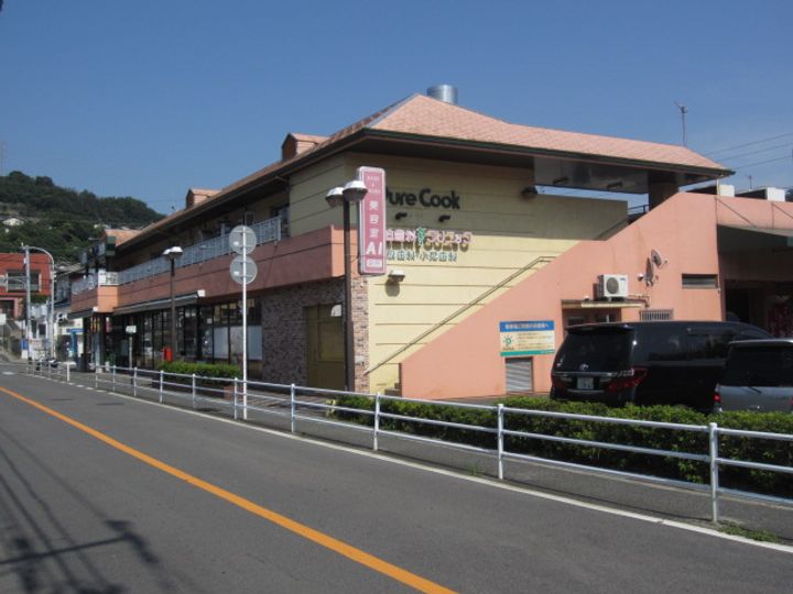 広島県広島市西区己斐大迫1丁目(一戸建)の賃貸物件の周辺