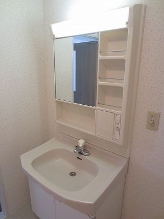 広島県広島市安佐南区川内5丁目の賃貸マンションの内装