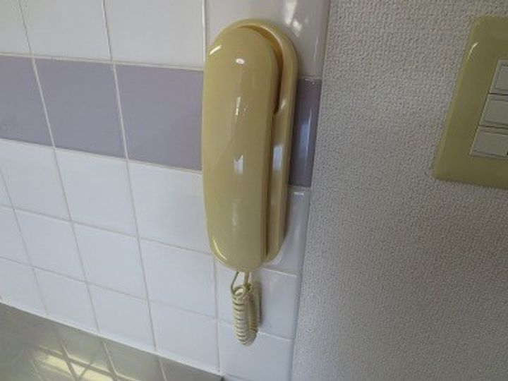 広島県広島市安佐南区川内5丁目の賃貸マンションのその他画像