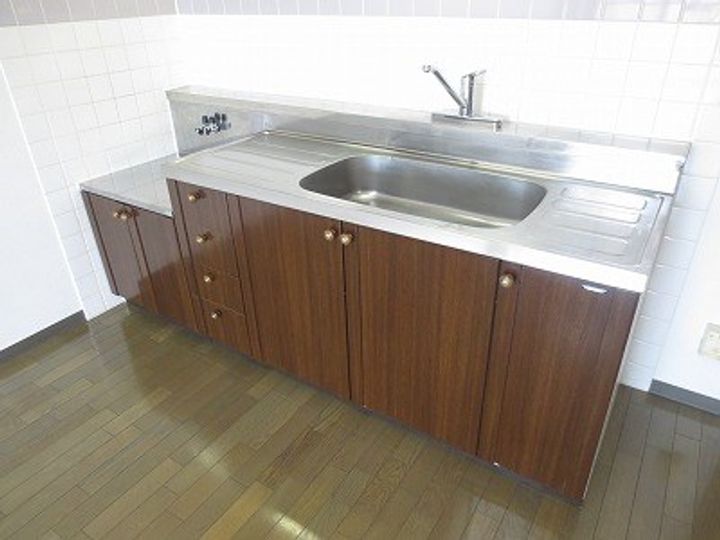 広島県広島市安佐南区川内5丁目の賃貸マンションのキッチン