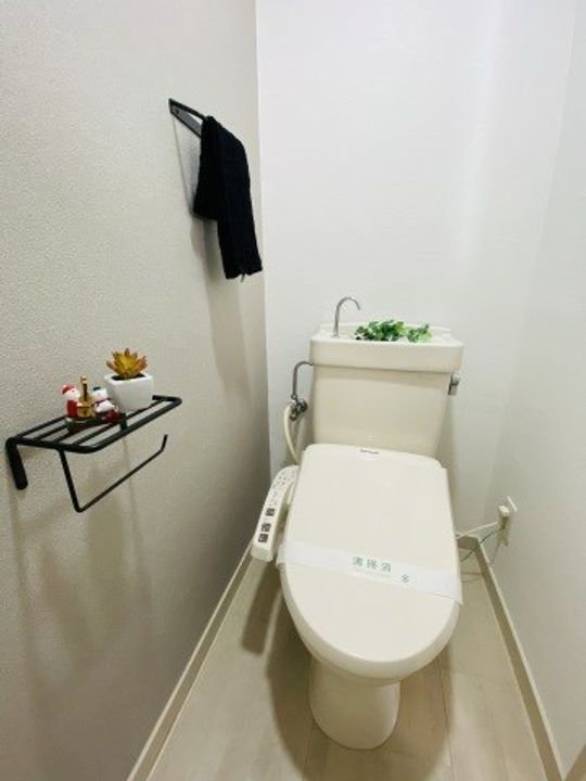 広島県広島市安佐南区八木7丁目の賃貸マンションの内装