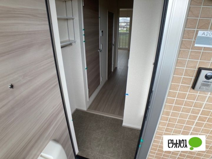 ヒルズ平泉A棟203の玄関