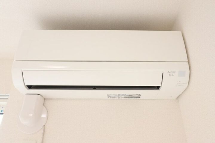 ハニーのその他画像