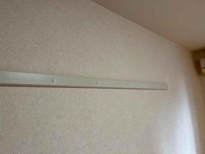 エバーグリーンのその他画像