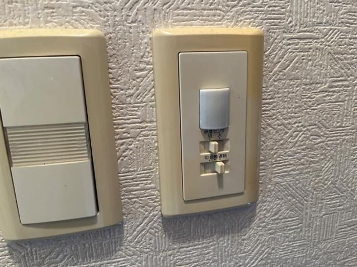 エバーグリーンのその他画像