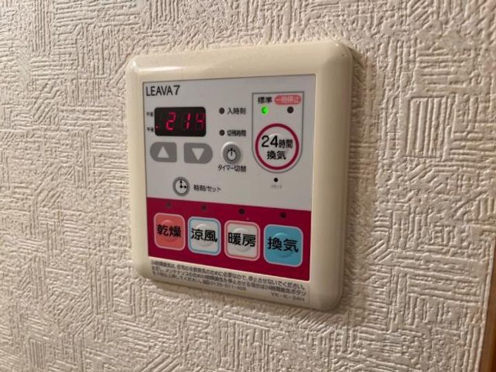 エバーグリーンのその他画像