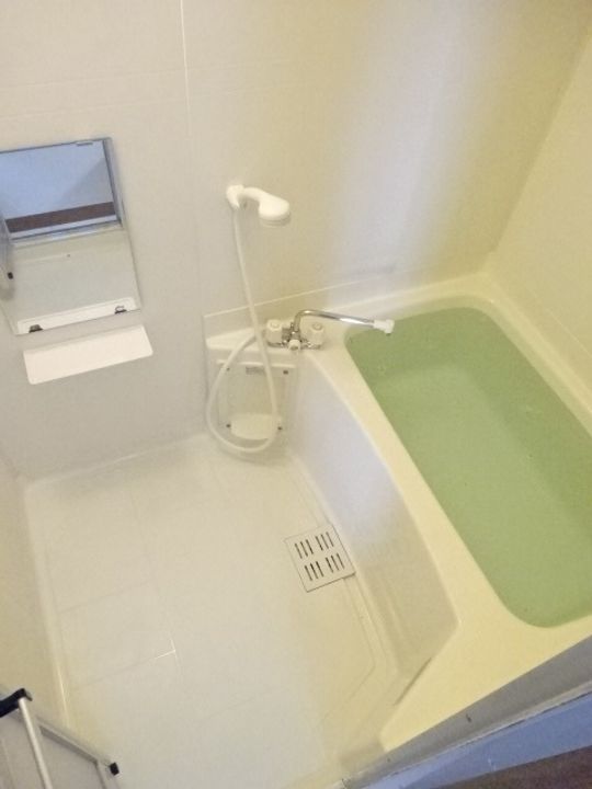 ディスカバリーⅡの風呂