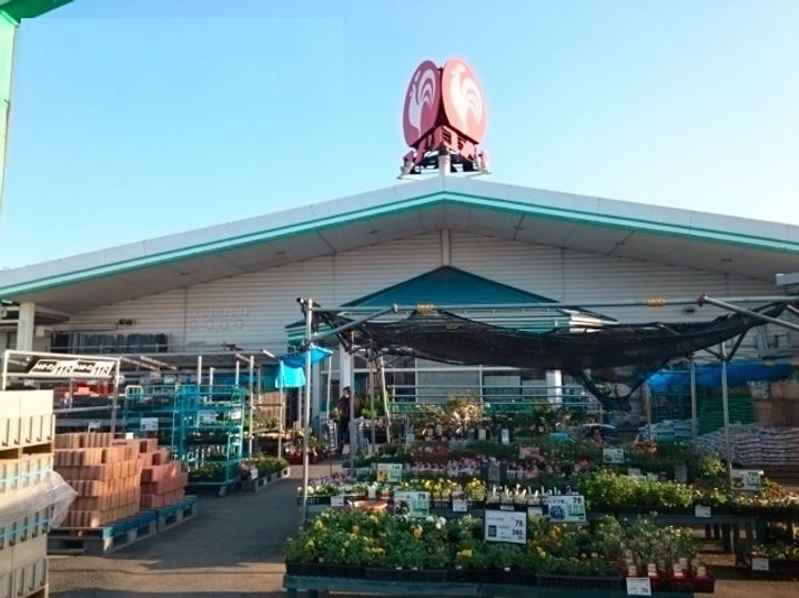 ポラリスⅢの周辺