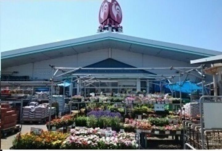 アルコ・イーリスの周辺