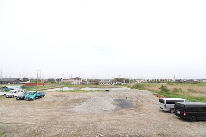 ハニーのその他画像