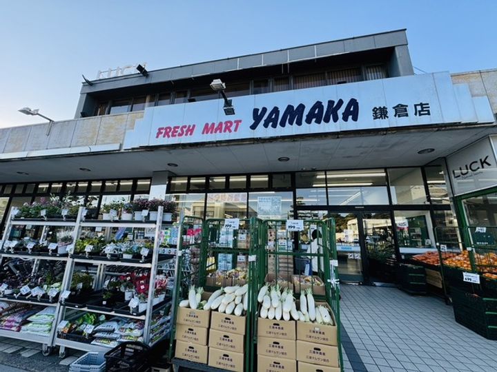 ブリーゼ由比ガ浜の周辺