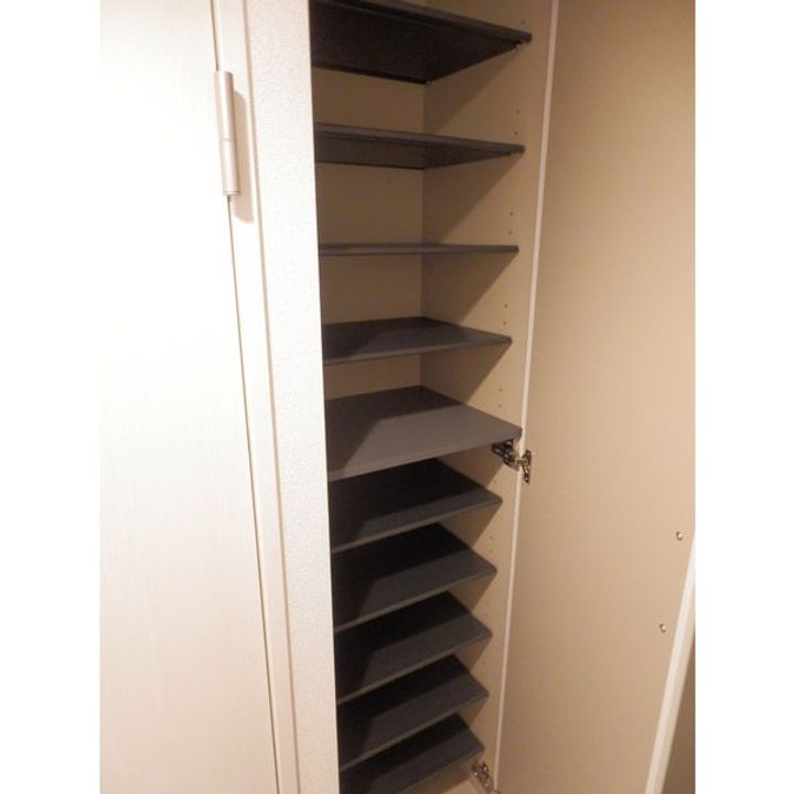 EVERGREEN KOTONIのその他画像