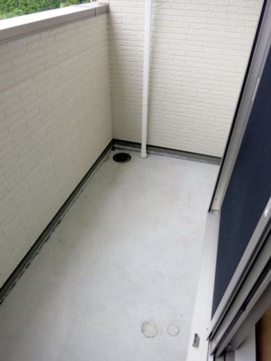 マルベリーAのその他画像