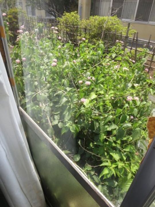 パールハイツマツダのその他画像