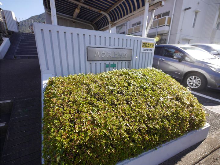 Renatus上馬寄のその他画像