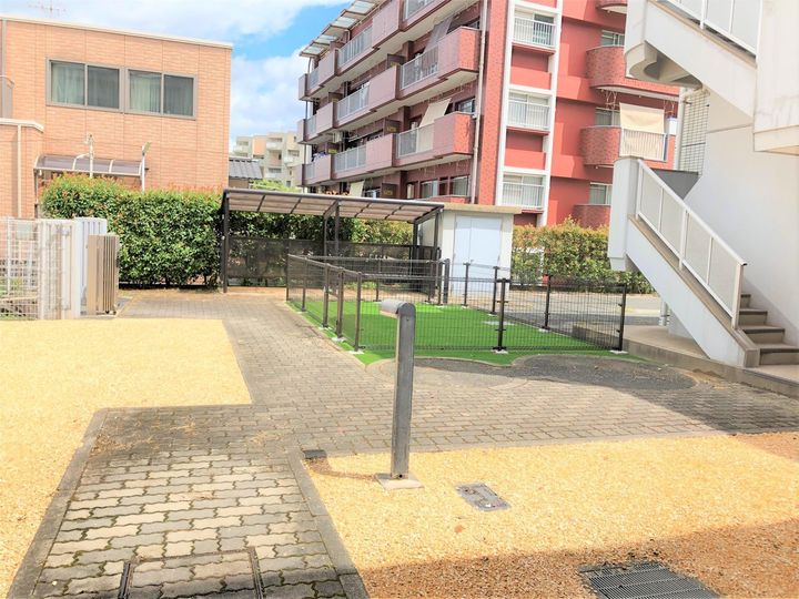 Renatus上馬寄のその他画像