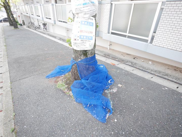 シャトレ安部山のその他画像