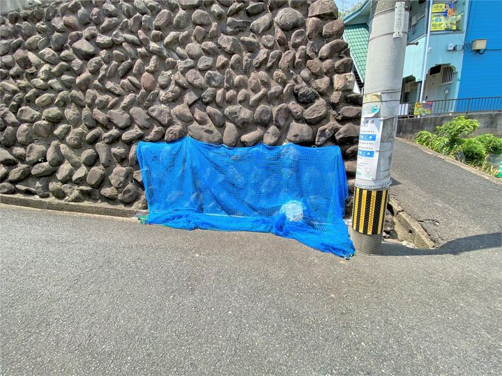 ロマネスクもりつねのその他画像