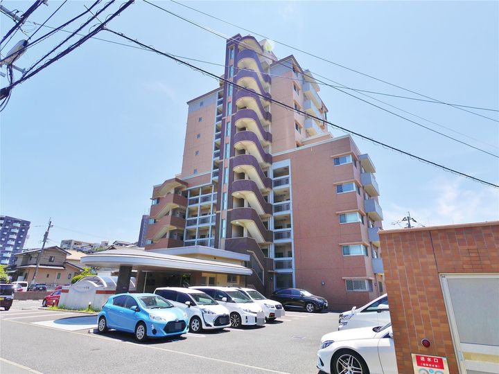 ファミール守恒の外観