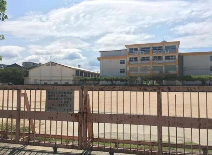 ヤンググレイス若園の周辺