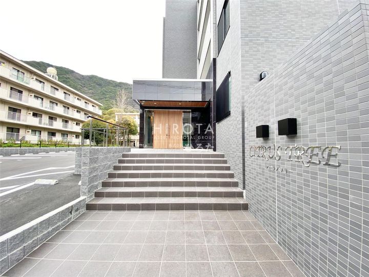 CITRUS TREEのその他画像