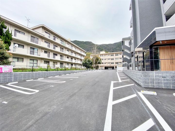 CITRUS TREEのその他画像