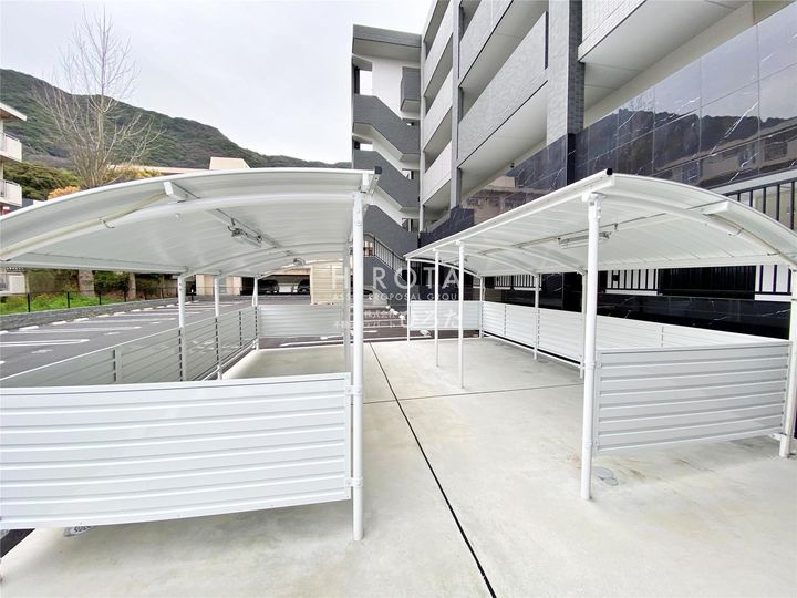 CITRUS TREEのその他画像