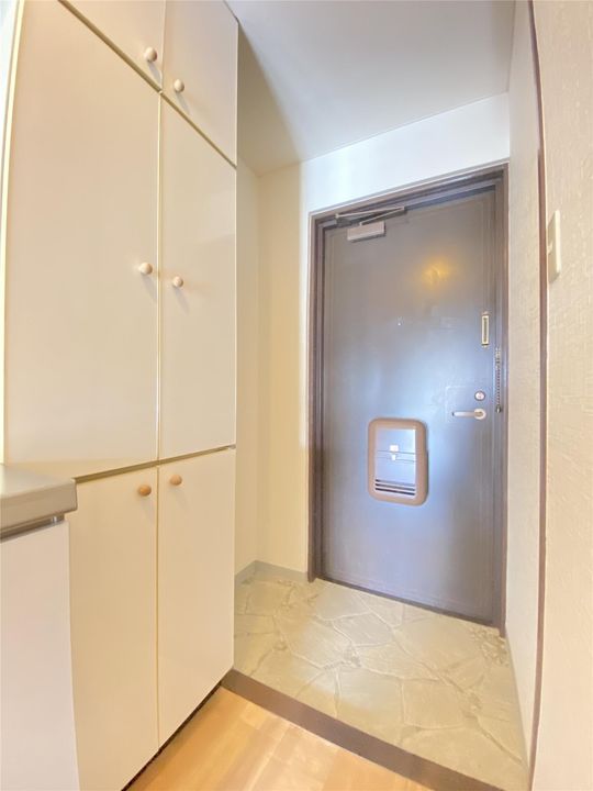 キャステール片野の玄関