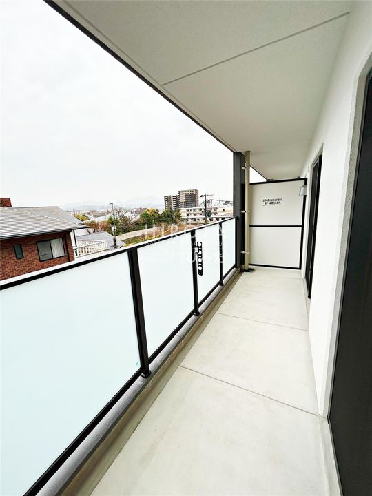 CITRUS TREEのその他画像