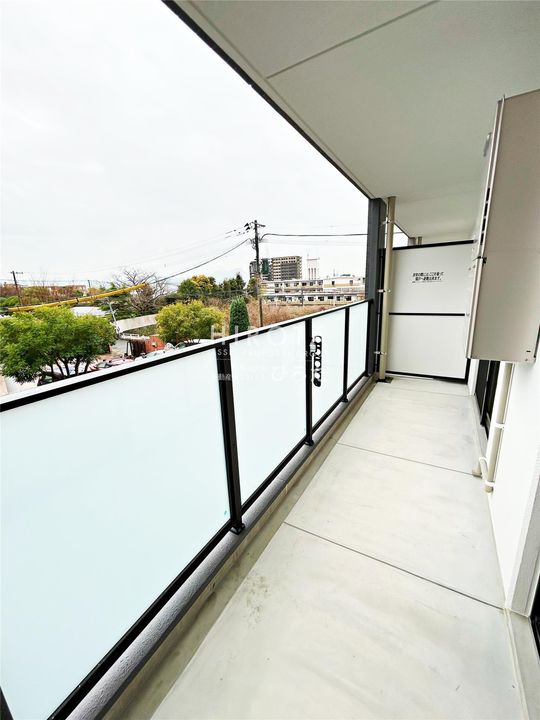 CITRUS TREEのその他画像