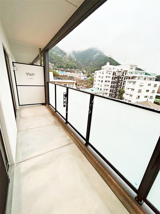 CITRUS TREEのその他画像