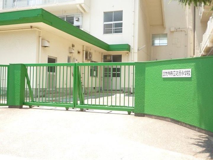 CITRUS TREEの周辺