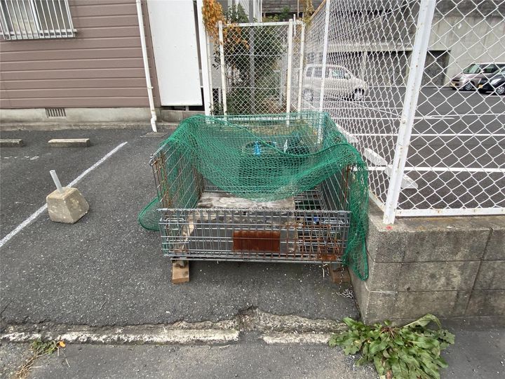 シティベール陣山B棟のその他画像