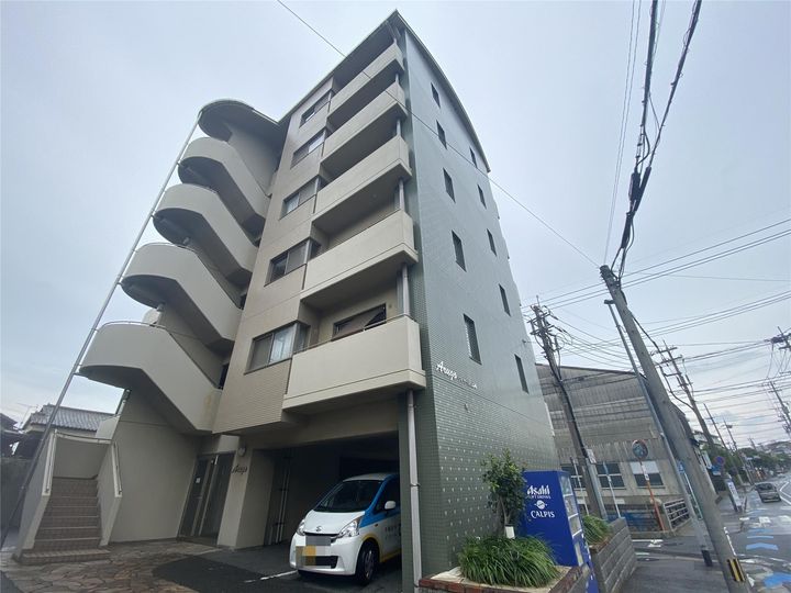 アルゴヴィラージュ高峰の外観