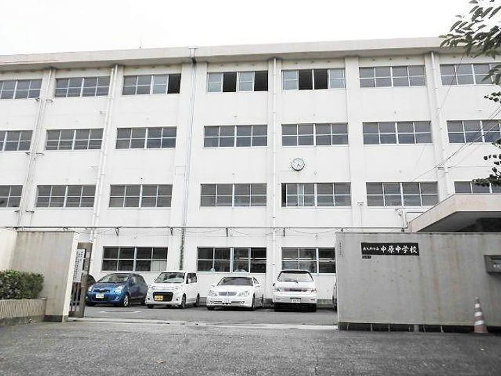 ステラZENの周辺