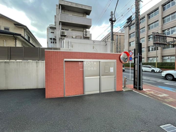 ラファエロのその他画像