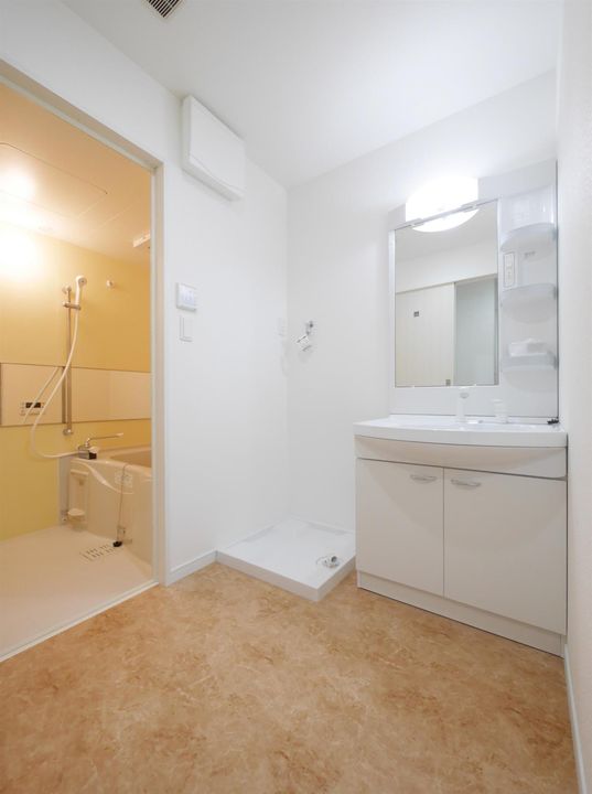 ラファエロのその他画像