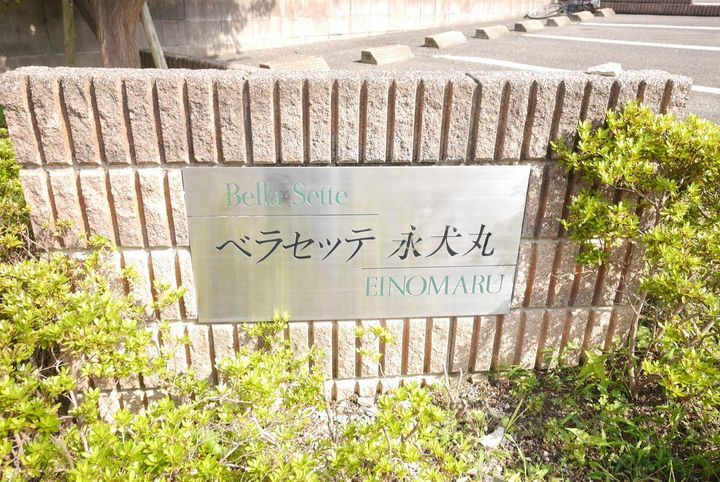 ベラセッテ永犬丸Aのその他画像