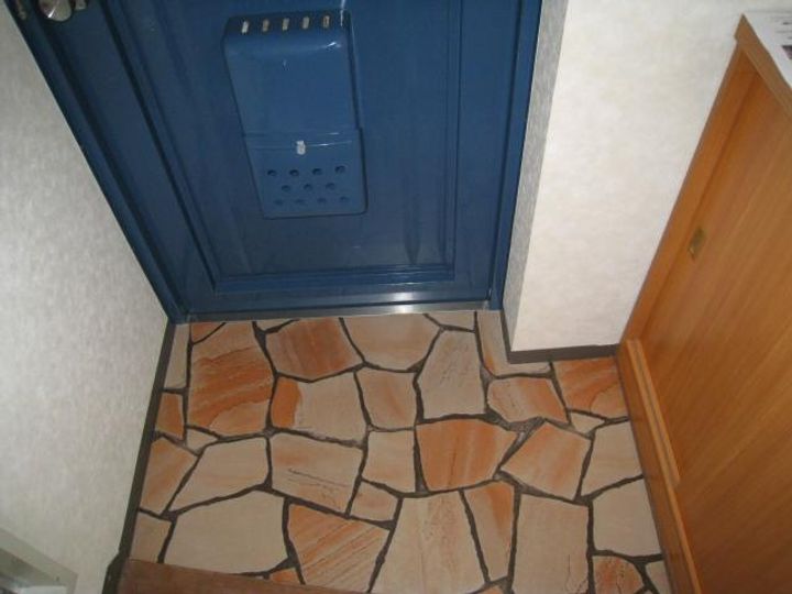 シャトレ南王子の玄関