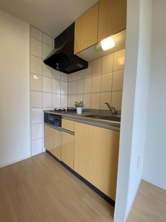 ラルーチェ サンリッチのキッチン