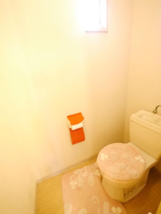 ラプラスⅡのその他画像