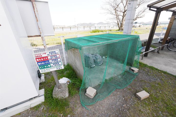 ラナンキュラスのその他画像