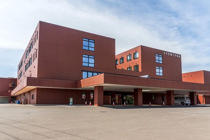 プルメリア栄通の周辺