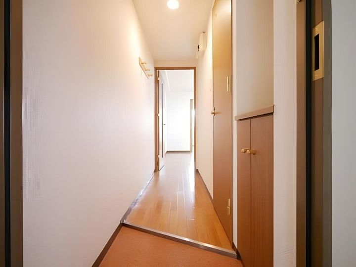 PARK HILLS中の島21(パークヒルズ中の島21)803の玄関