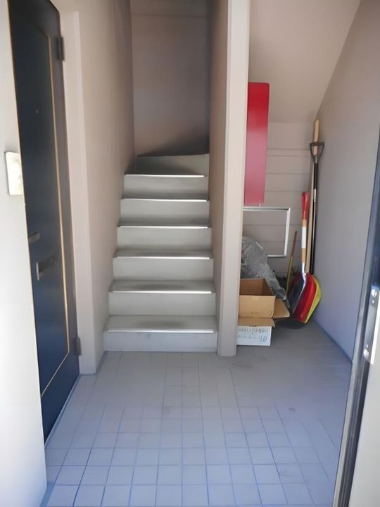 シャネル南郷のその他画像