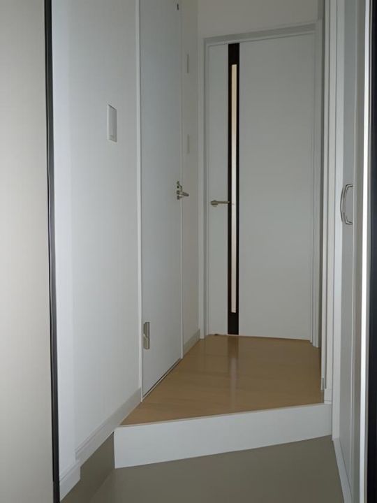 シルキー月寒東A201の玄関