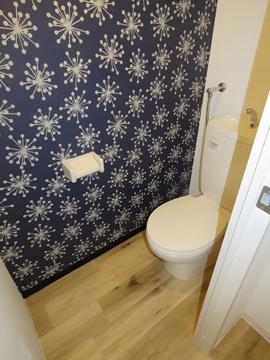 fairy luluのその他画像