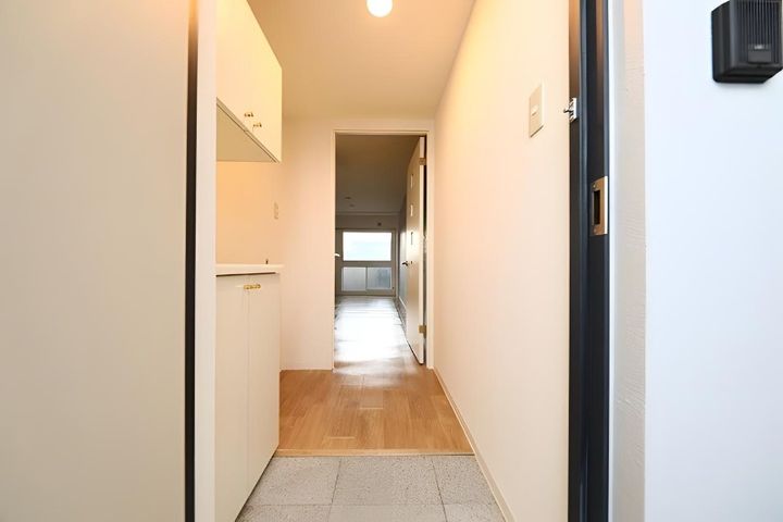 ワンダーハイム中の島301の玄関